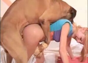 سكس حيوانات سكس حيوانات